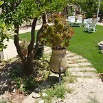 Gæstehus Al Giardino Dei Limoni